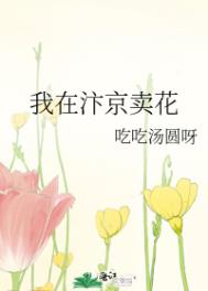 我在汴京卖花小说封面
