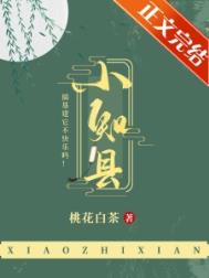 小知县小说封面