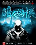 暗夜游侠 steam